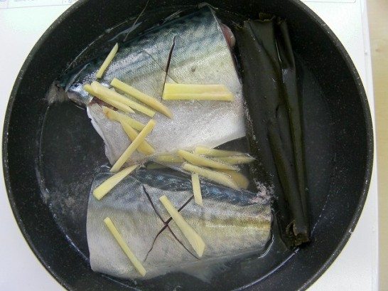 mackerel (15)