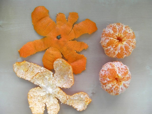 orange onigiri japanese food (10)