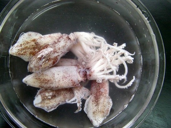 simmered squid (10)