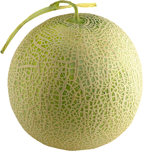 Melon bun picture1